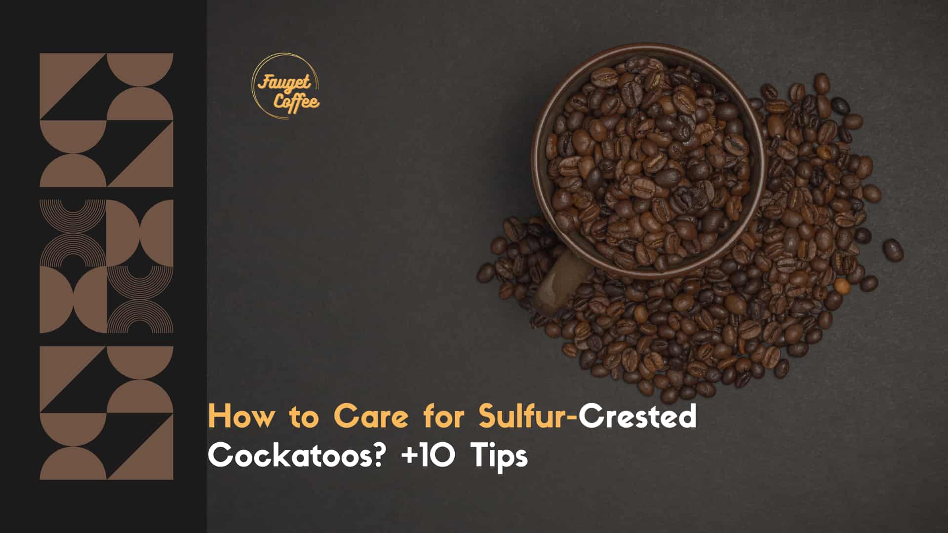 Sulfur-Crested Cockatoos